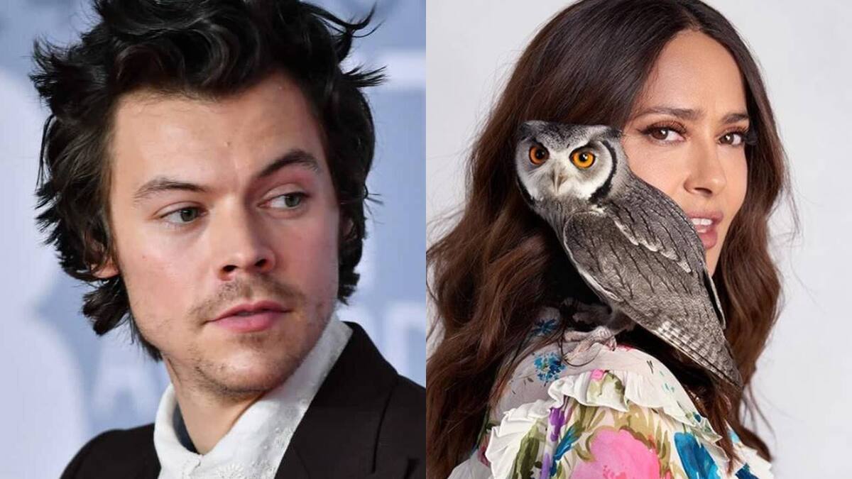 ¡En su hermoso cabello! La vez que el búho de Salma Hayek vomitó sobre Harry Styles