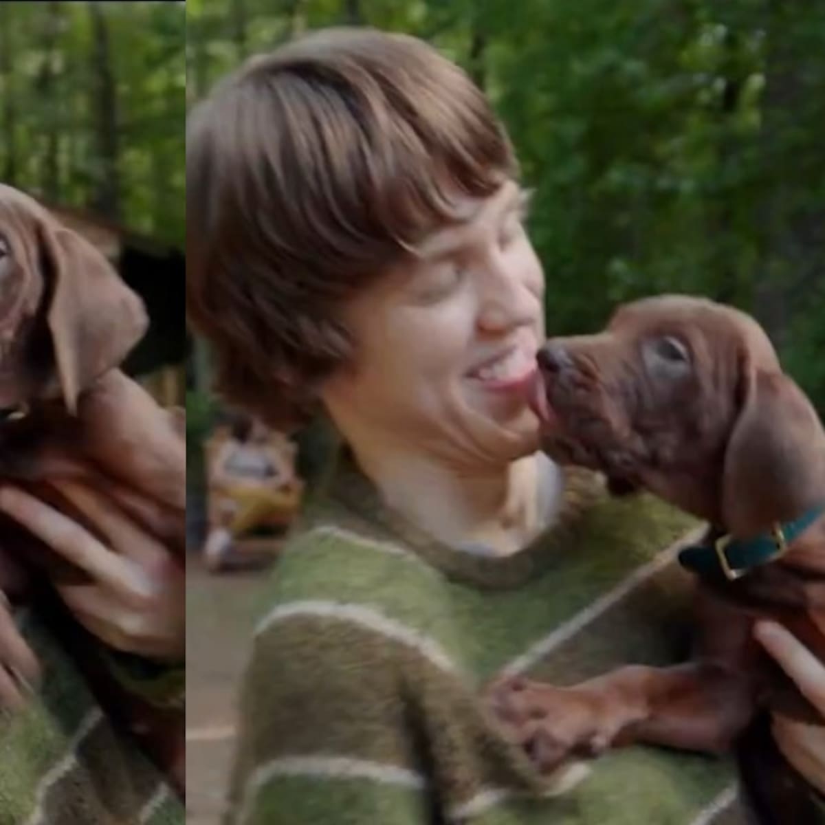 Misterio resuelto: así luce el primer tráiler del live action de "Scooby-Doo"
