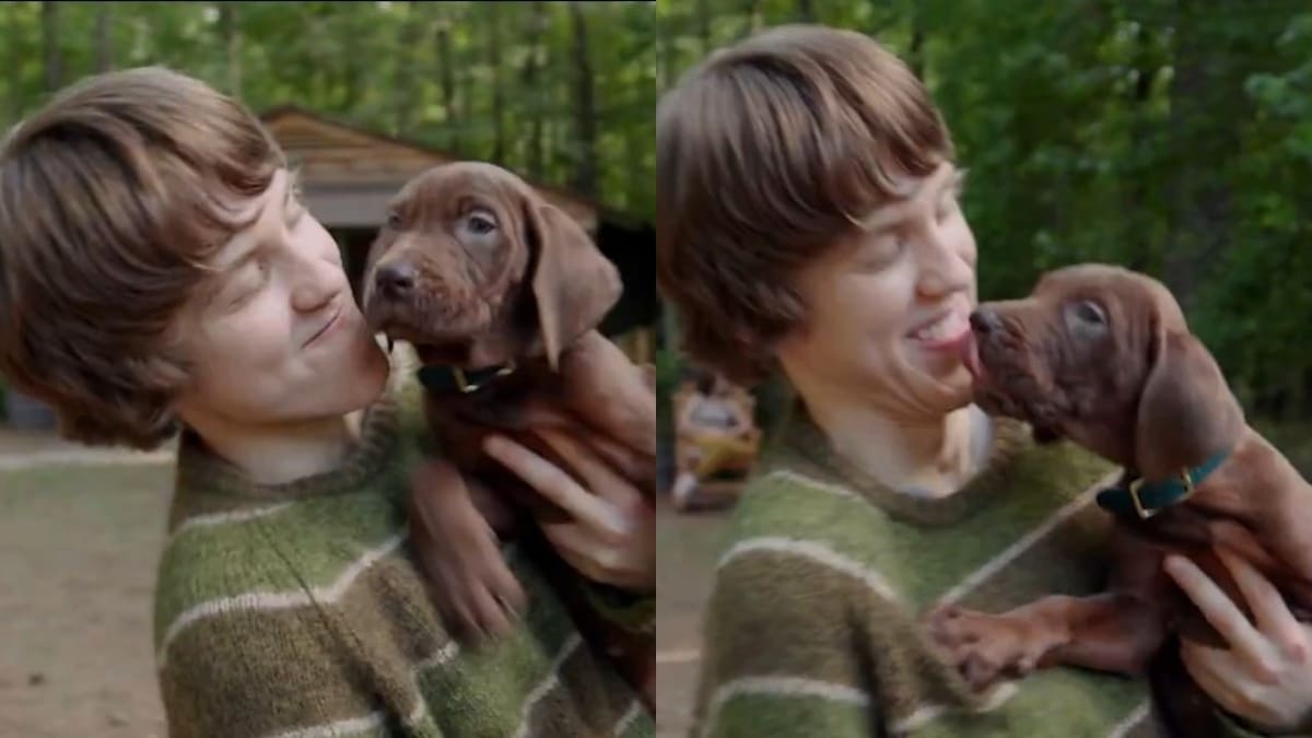 Misterio resuelto: así luce el primer tráiler del live action de "Scooby-Doo"