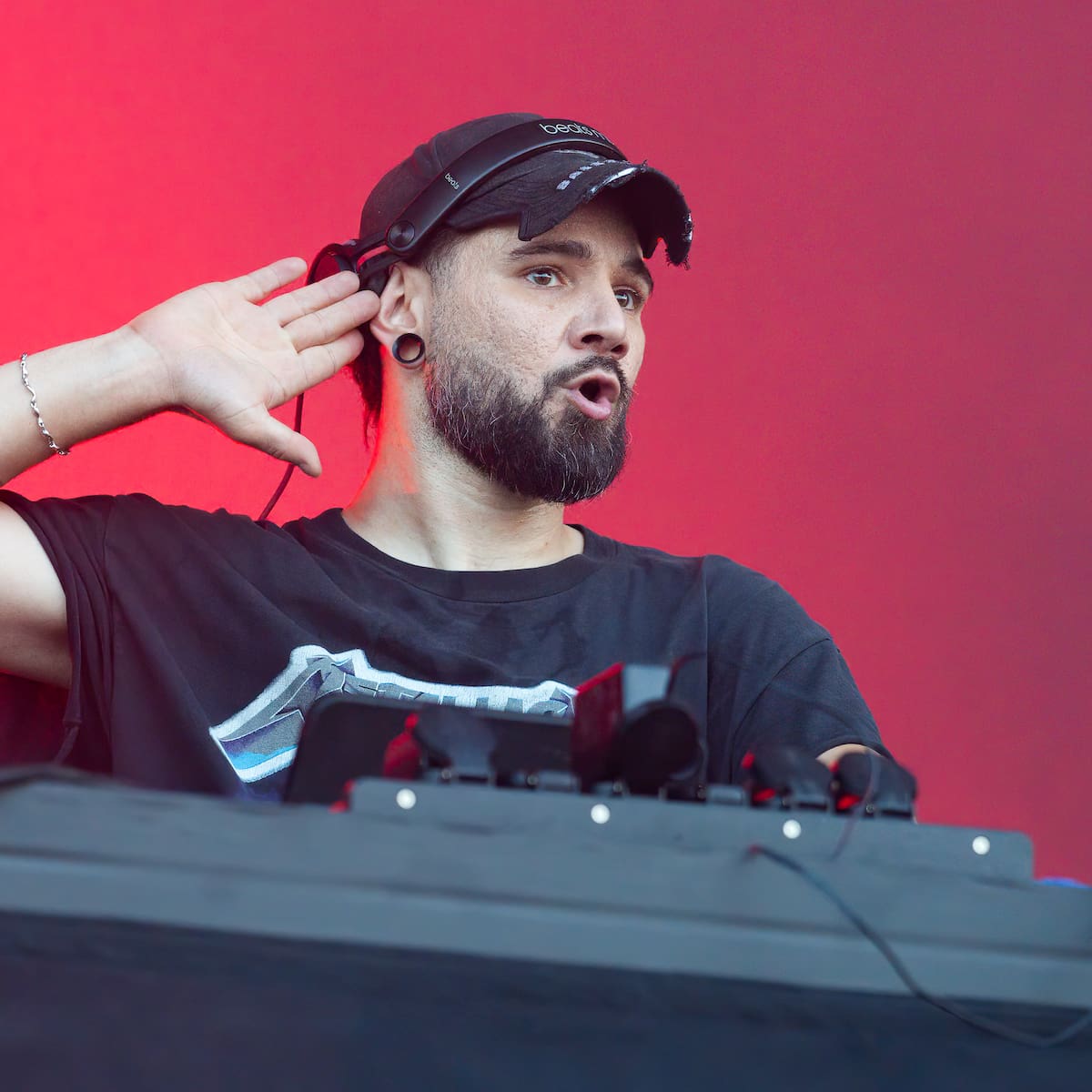 Si los mosquitos te persiguen, pon Skrillex: la ciencia tiene una explicación