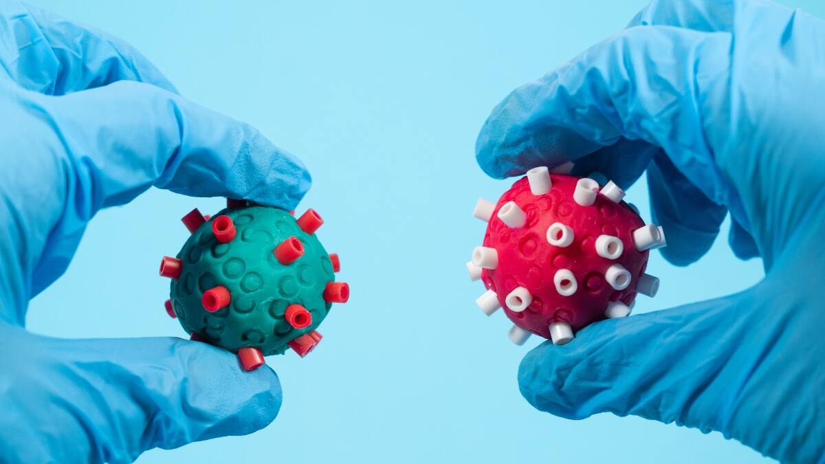 Gripe del tomate: ¿Cuáles son sus síntomas y cuántos contagiados hay en Chile?