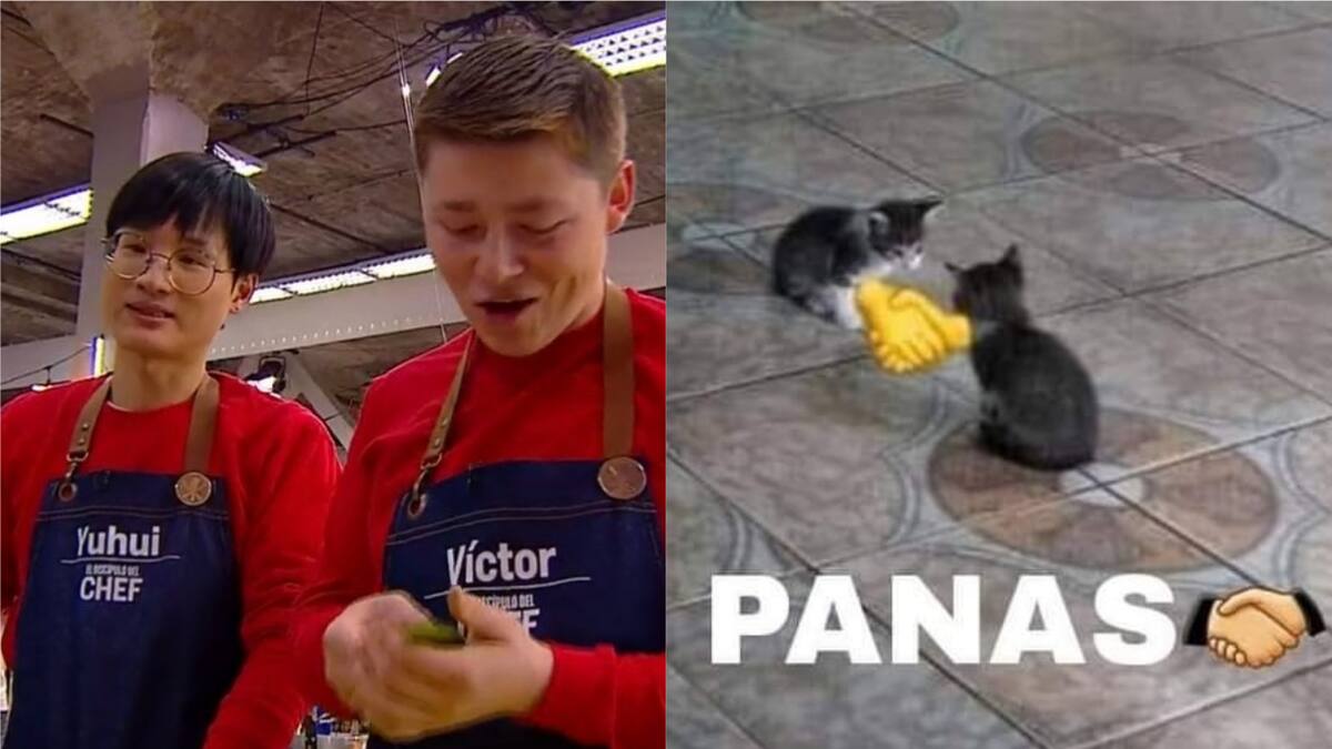 ¡Team Yuhui y Zafrada! Los memes que dejó el nuevo capítulo de «El Discípulo del Chef»