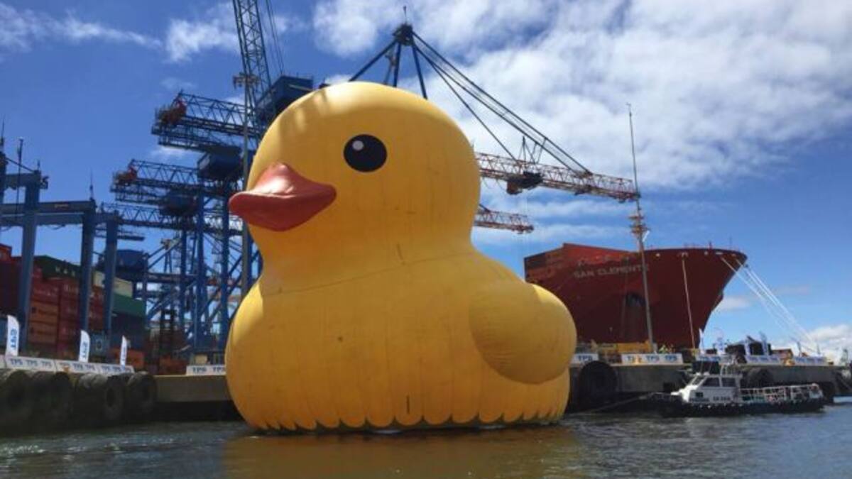 El pato de hule amaneció desinflado en Valparaíso