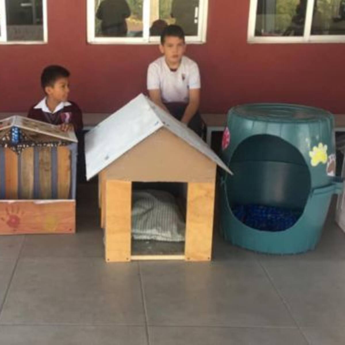 Estos niños construyeron casitas para perros con materiales reciclados