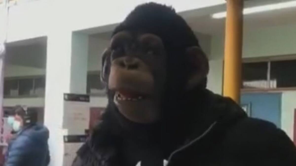 Joven elige peculiar disfraz para votar y arreglar el país