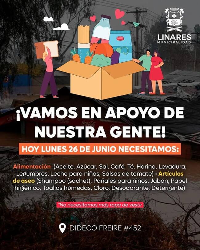 Instagram @linaresmunicipalidad</a>