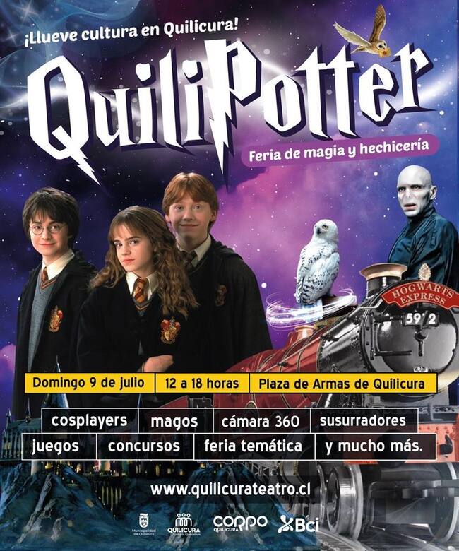 Instagram @muniquilicura</a>