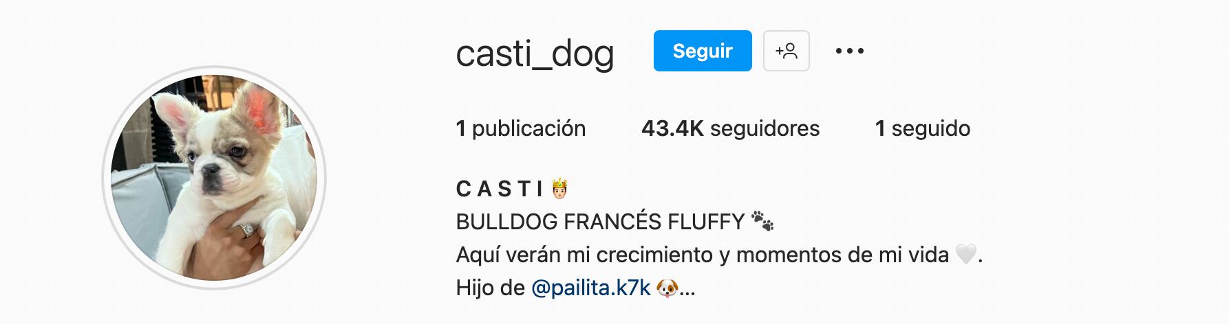 Instagram @casti_dog