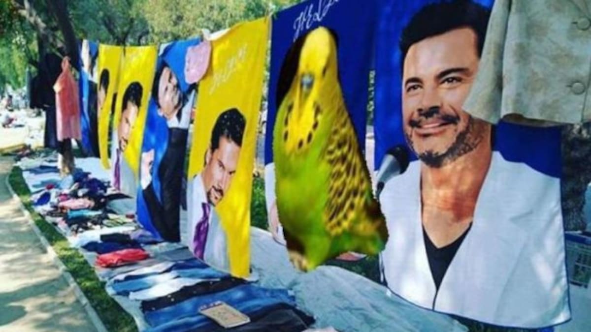 Revisa los mejores memes que dejó el tragicómico funeral de Chimuelo
