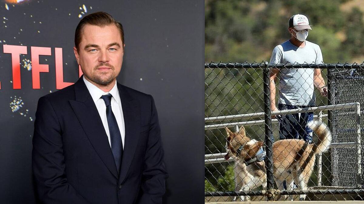 Héroe dentro y fuera del cine: Leonardo DiCaprio salva a su perrito de lago congelado
