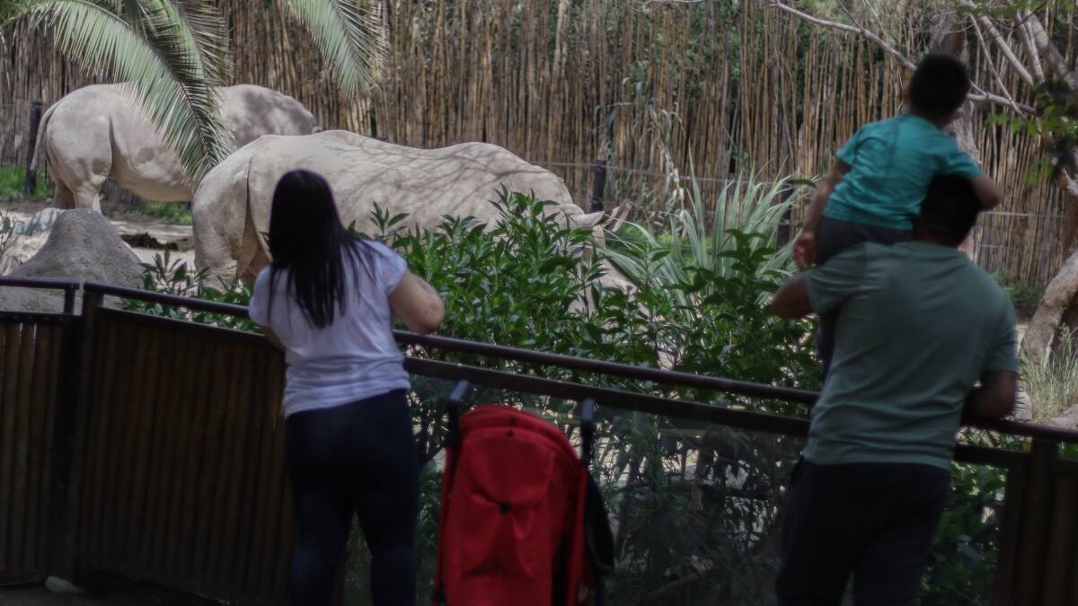 Buin Zoo volvió a abrir sus puertas tras más de 2 meses cerrado