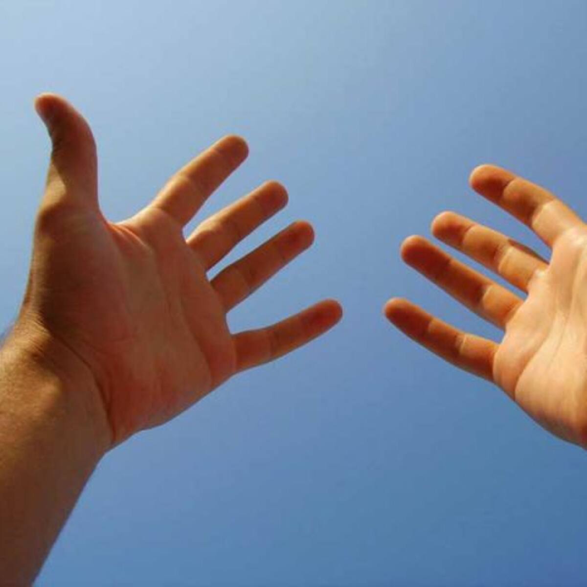 ¿Tienes cicatrices en el dedo índice?