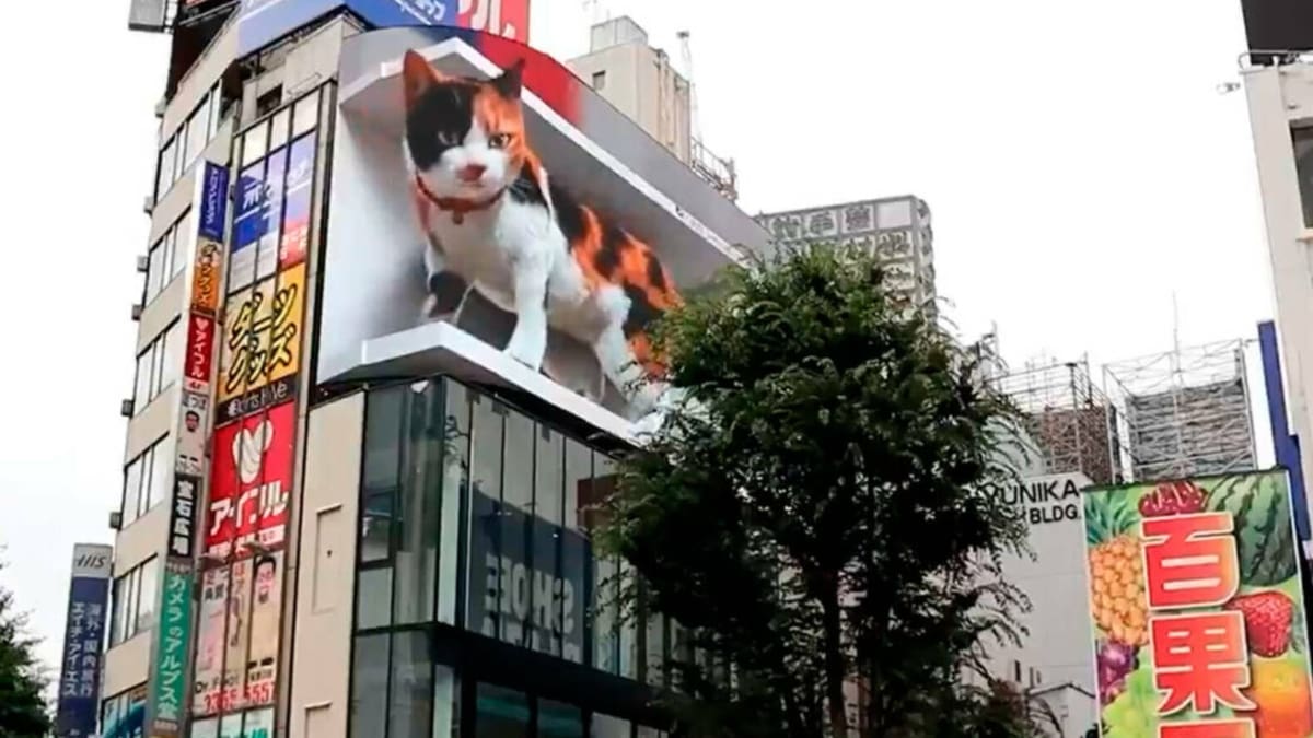 Gato gigante en 3D causa furor en Tokio… ¡Incluso puede maullar!