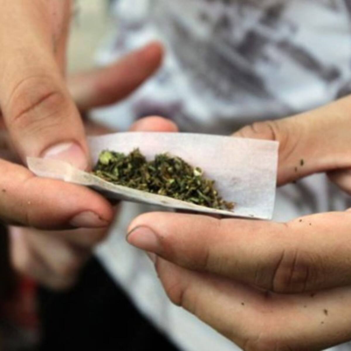 Chile, el país más consumidor de marihuana en Latinoamérica