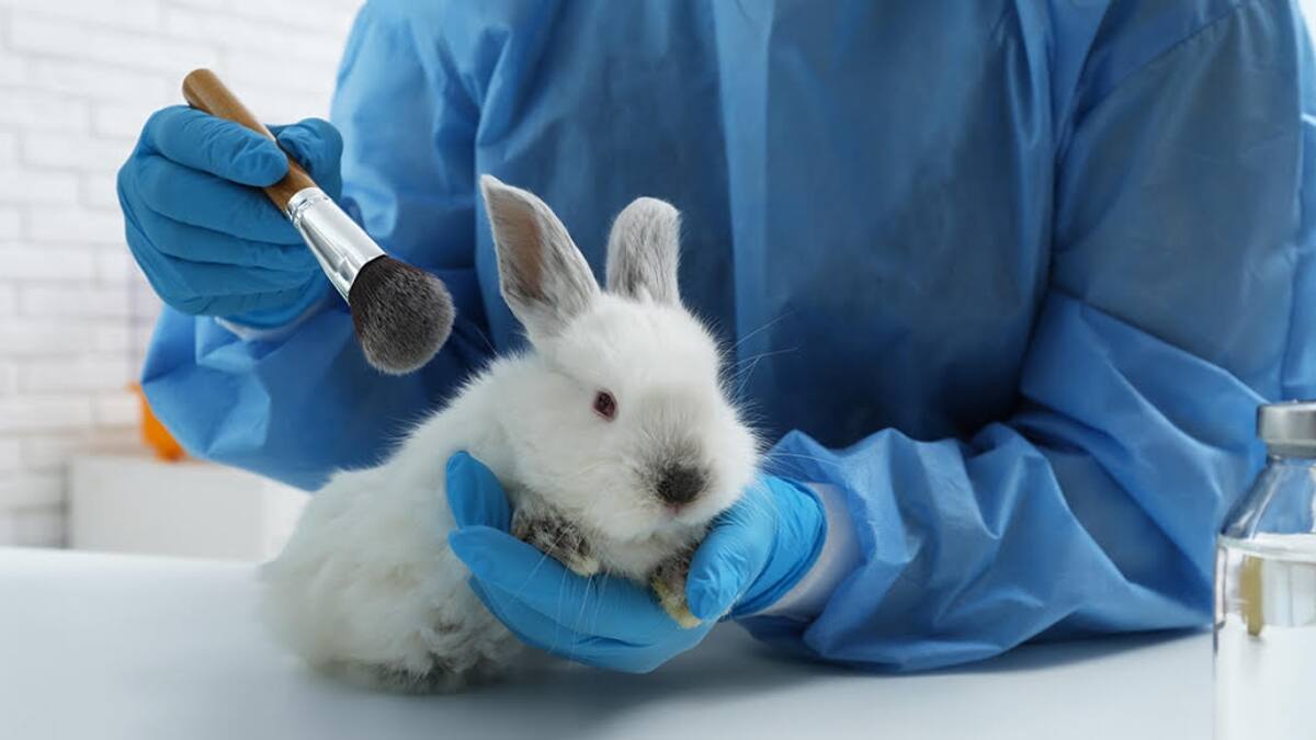 Hawái firmará legislación que prohibe el testeo en animales en la industria cosmética