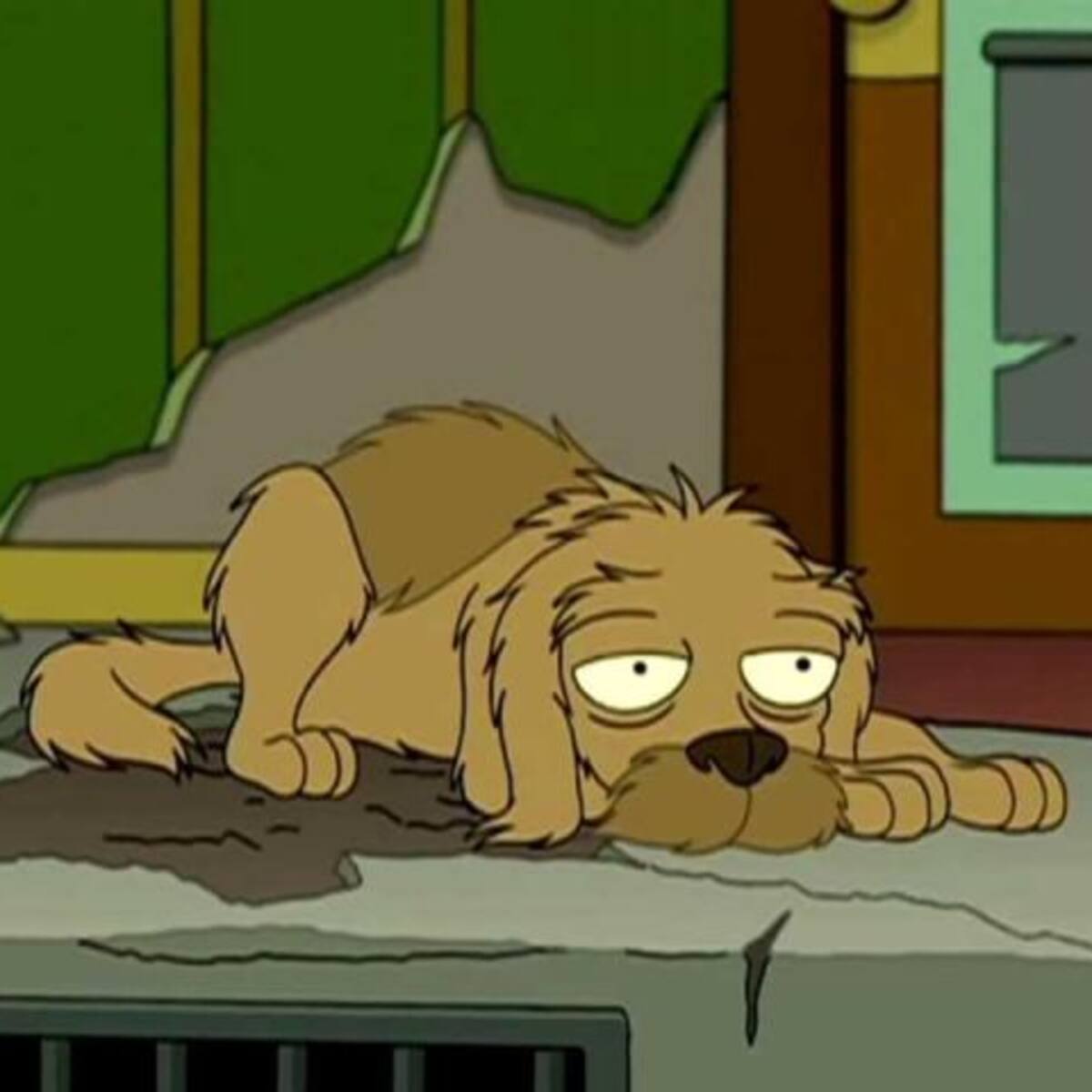 Perrito esperó afuera de un supermercado durante casi medio año al hombre que lo abandonó