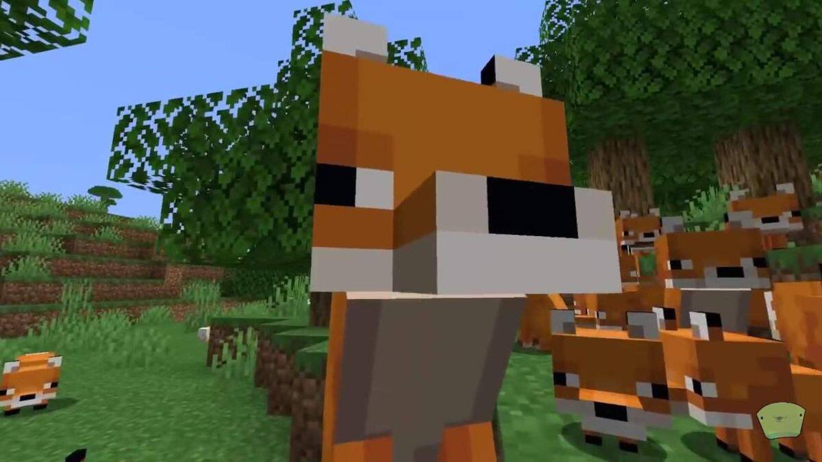 Zorros en Minecraft: Dónde encontrarlos, cómo domesticarlos y qué comen