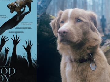 Perro de la película "Good Boy" firma carta para ser nominado a los Premios Oscar