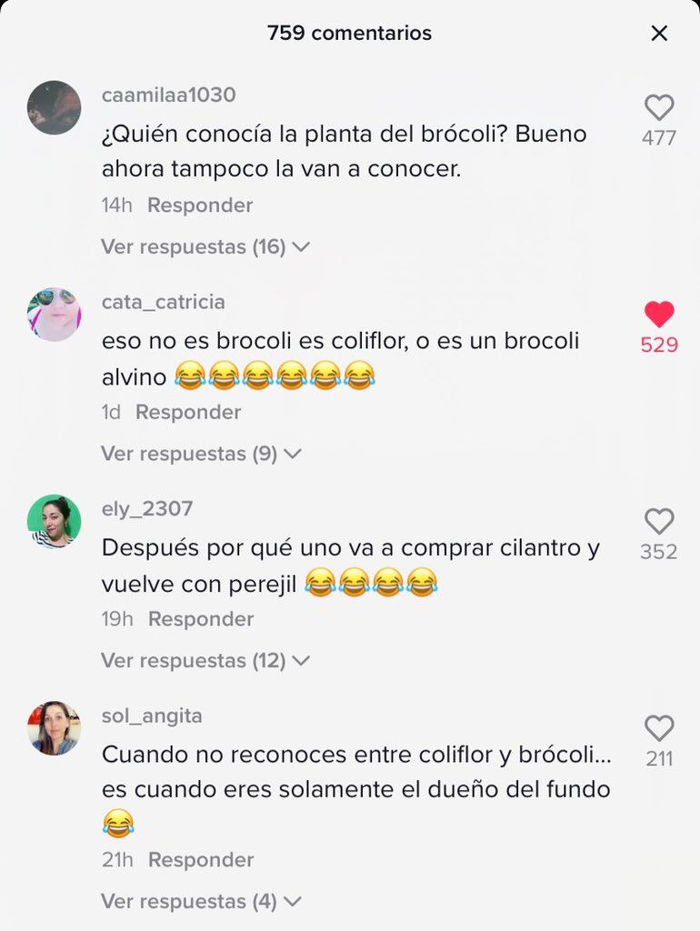Comentarios en Tik Tok