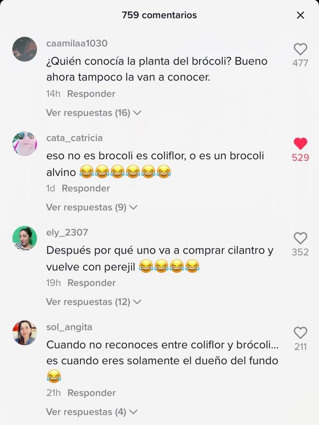 Comentarios en Tik Tok