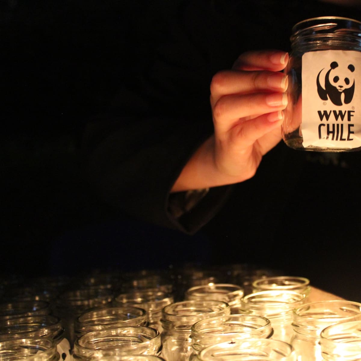 Hora del Planeta 2026: ¿Cómo sumarse este sábado 28 de marzo desde Chile?