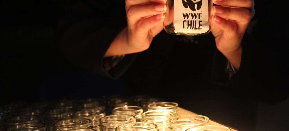 CL - Hora del Planeta 2026