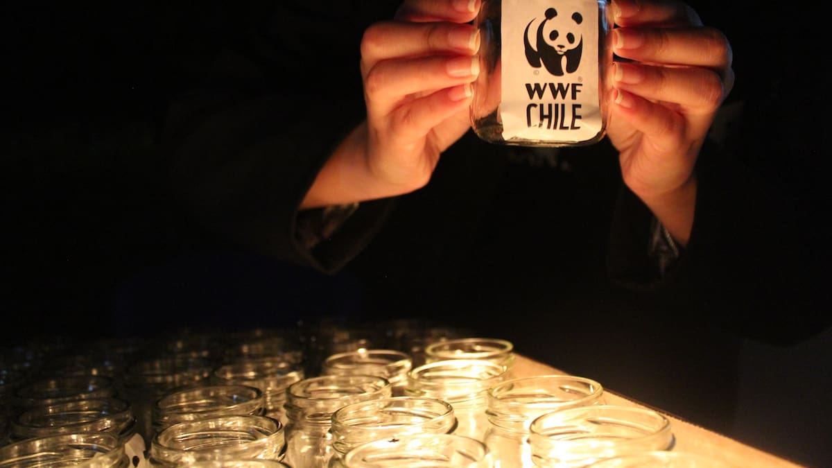 Hora del Planeta 2026: ¿Cómo sumarse este sábado 28 de marzo desde Chile?