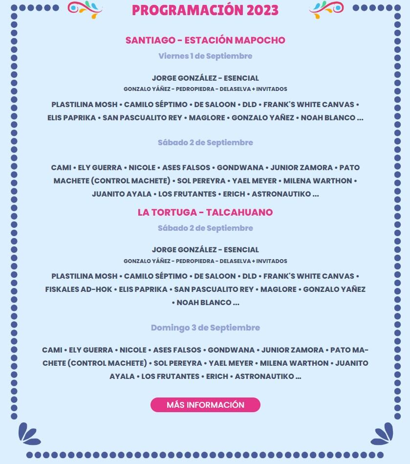 Captura página oficial</a> Chilean Wey