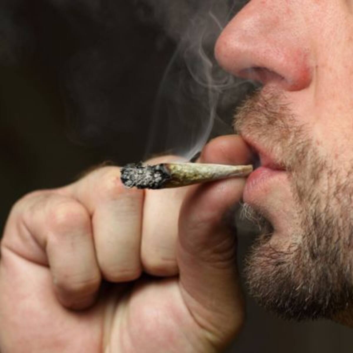 ¿Qué es un highsexual?