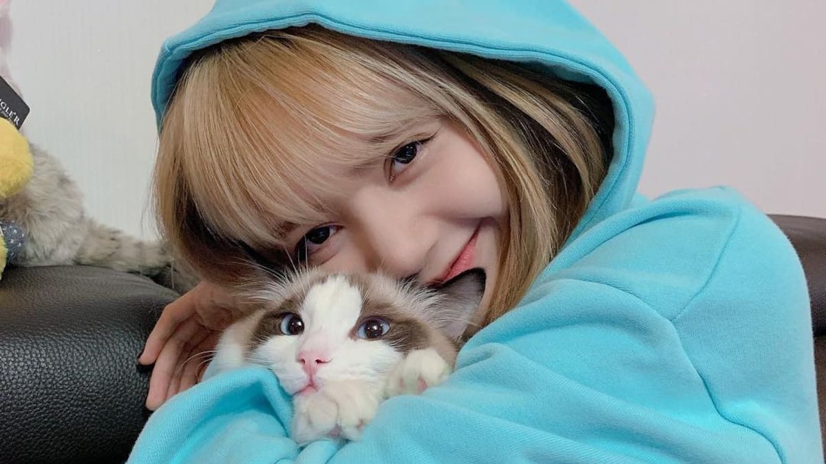 Lo mejor que le puede pasar a tu día: Mira a Lisa de BLACKPINK compartir con sus gatitos