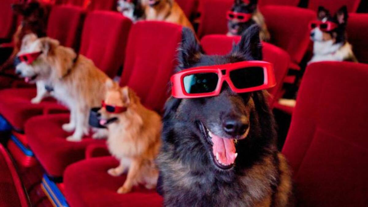 Revista Time elige las 10 mejores películas del 2018