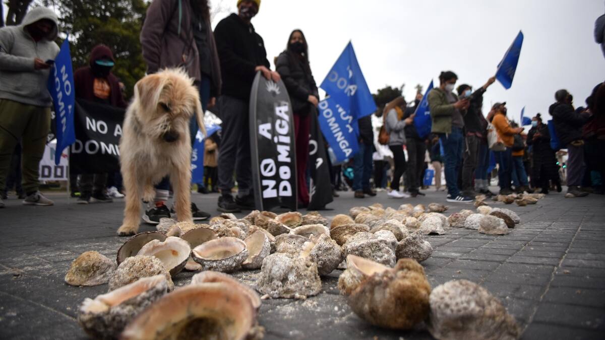 Coquimbo: Declaran situación de Emergencia Climática y Medioambiental