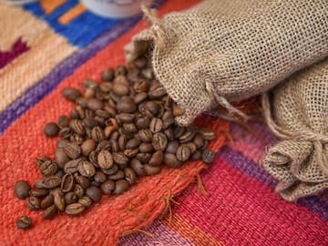 Ruta del Café en Barrio Italia: Fecha e información de la experiencia culinaria