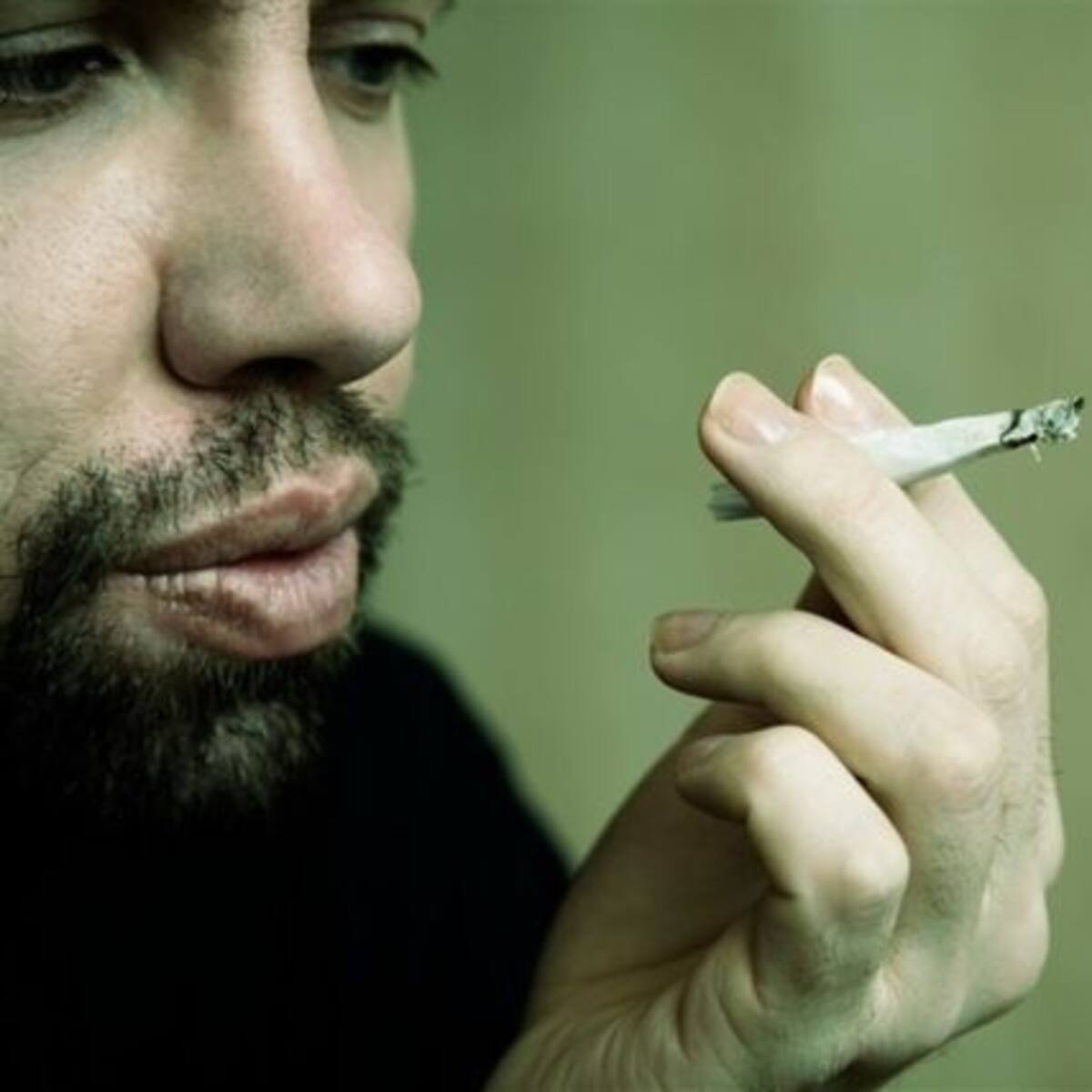 Científicos chilenos aseguran que la marihuana no sirve para fines medicinales