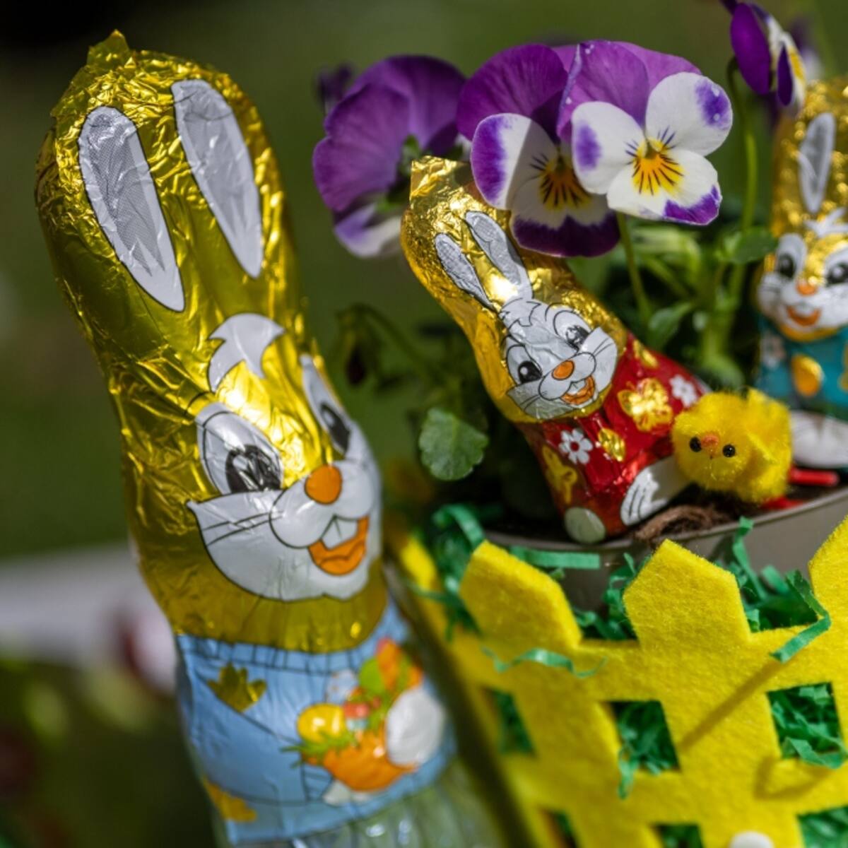 ¿Qué tienen que ver los huevos, el chocolate y un conejo con la Pascua? Este sería el origen de la festividad