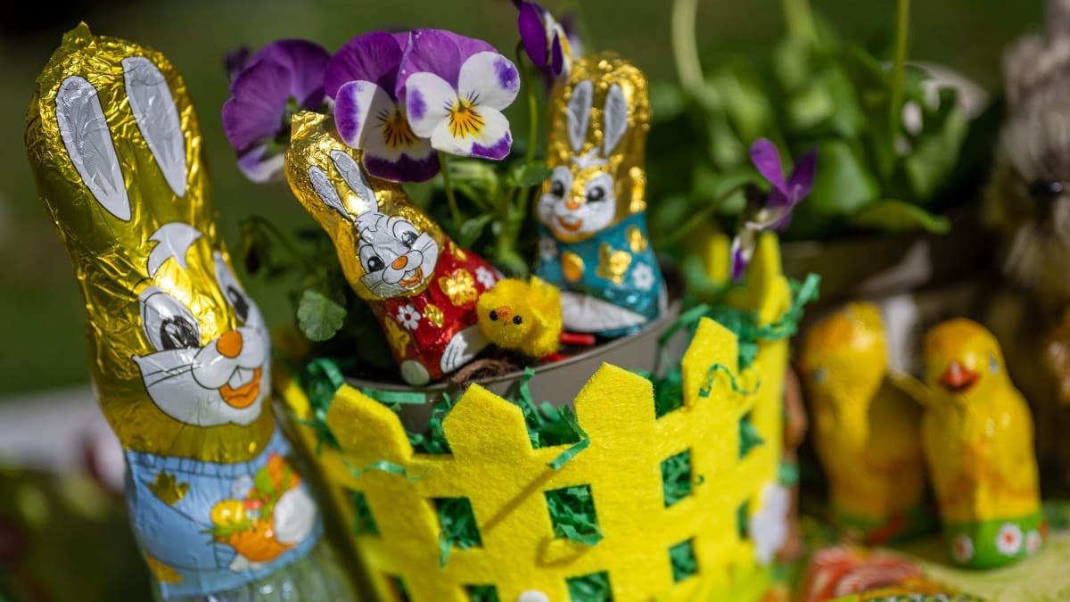 ¿Qué tienen que ver los huevos, el chocolate y un conejo con la Pascua? Este sería el origen de la festividad