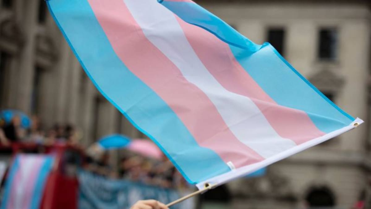 ¡Es ley! Argentina aprueba cupo laboral para personas transgénero