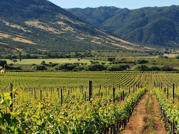 Lugar en Chile es destacado por la BBC como uno de los mejores destinos turísticos para 2026