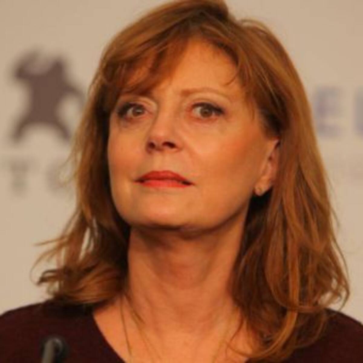 Actriz Susan Sarandon emplaza a Presidente Piñera y le pide apoyar la adopción homoparental