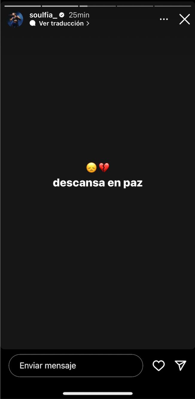 Captura Instagram @soulfia_</a>