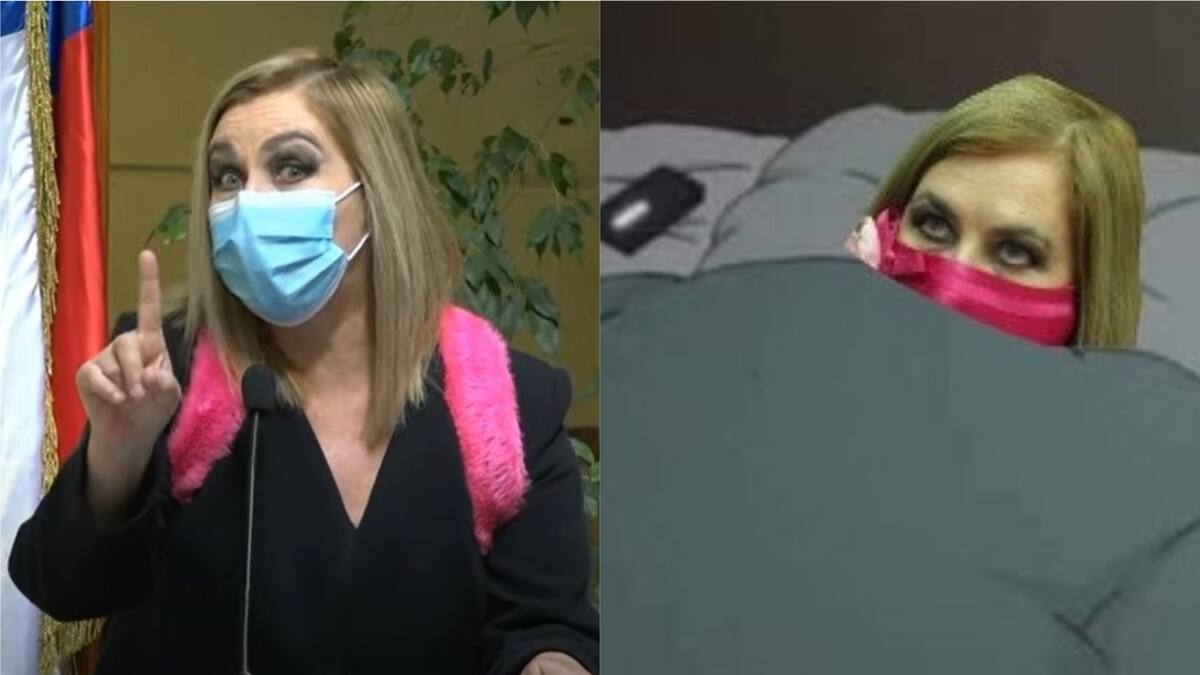 «No debí hacer eso»: En redes sociales recuerdan con memes la fallida predicción de Pamela Jiles contra Gabriel Boric