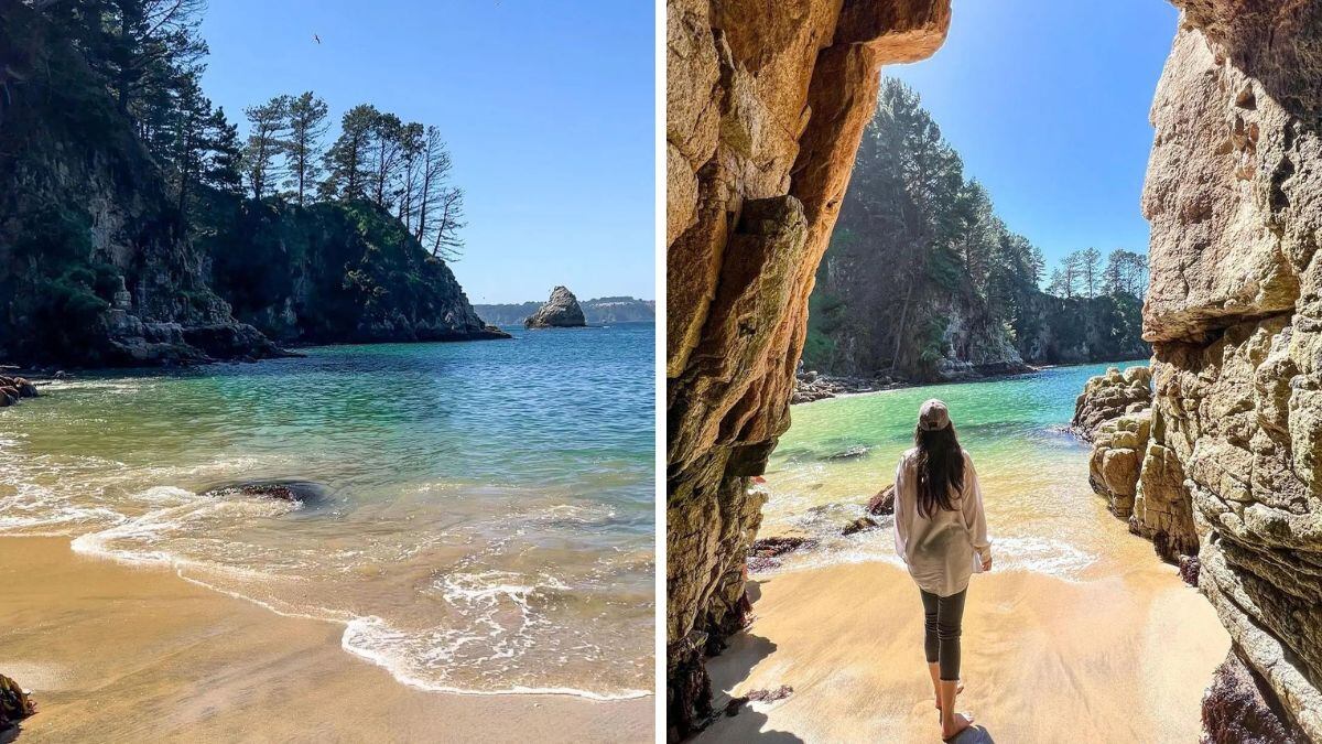 Instagram @trekkingchile_turismo