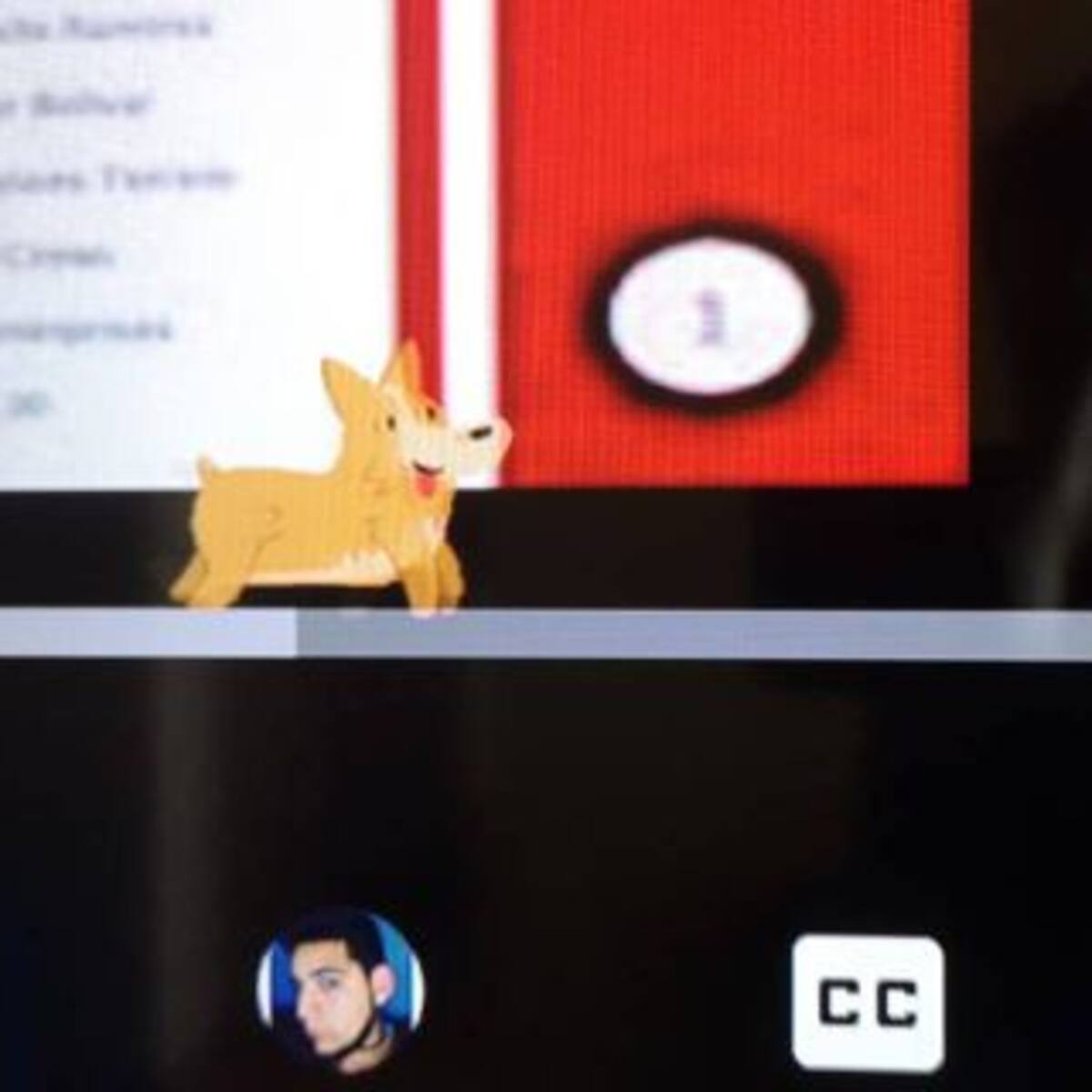 Descubre al perrito más tierno de todo YouTube