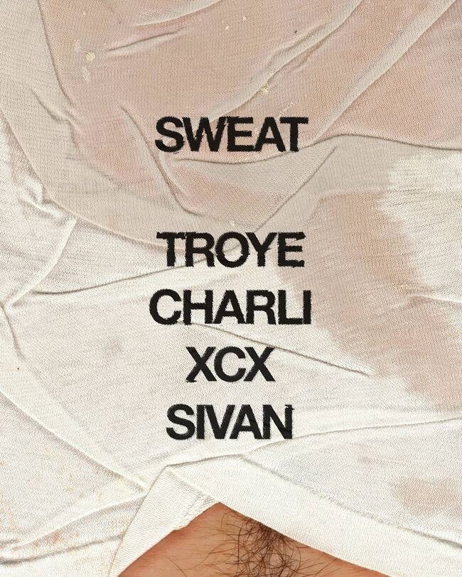 captura de @troyesivan