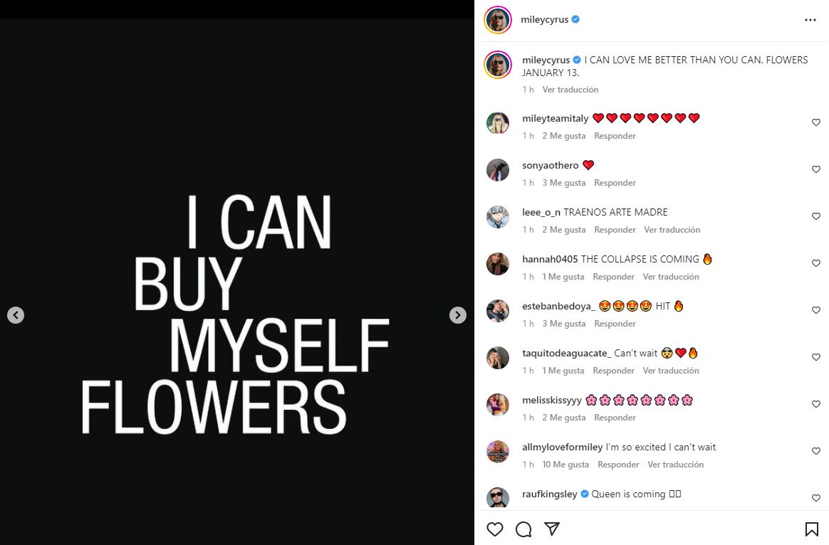 Captura Instagram @mileycyrus