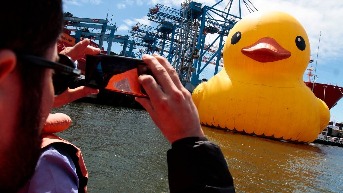 ¿Dónde y hasta cuándo se puede ver al Pato Gigante de hule?