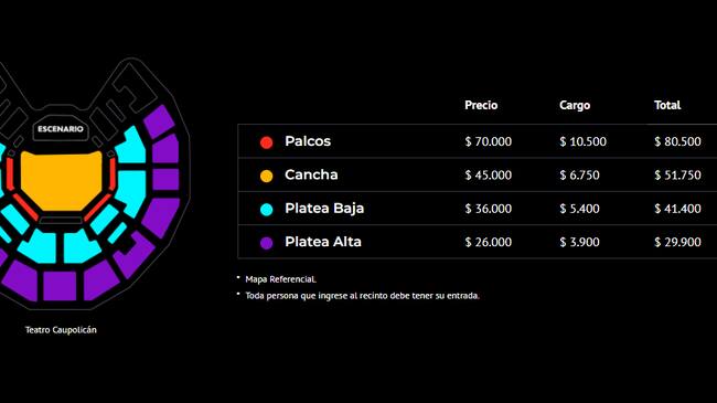 Precios de las entradas para Young Miko en Chile (Captura Punto Ticket</a>)