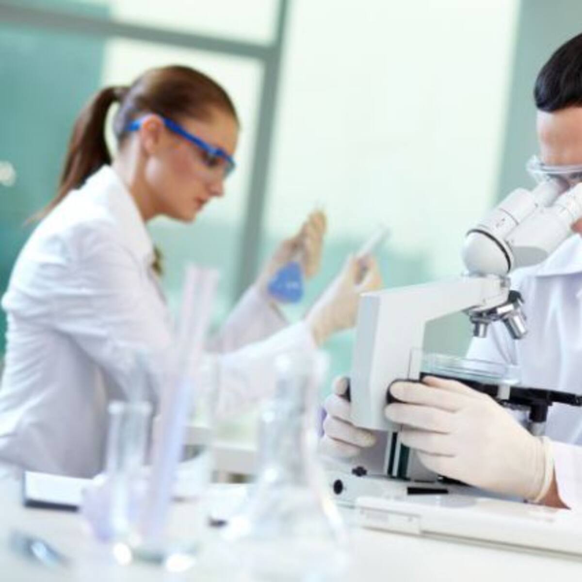 Pornhub pagará miles de dólares para que la ciencia estudie detalladamente el porno