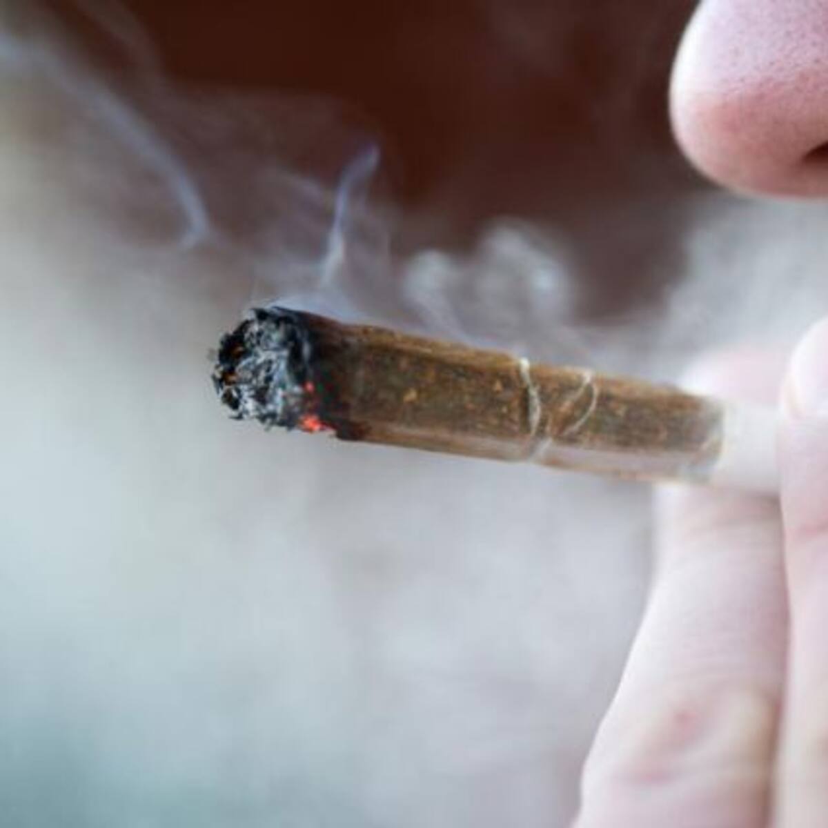 Se triplicó el consumo de marihuana en trabajadores chilenos