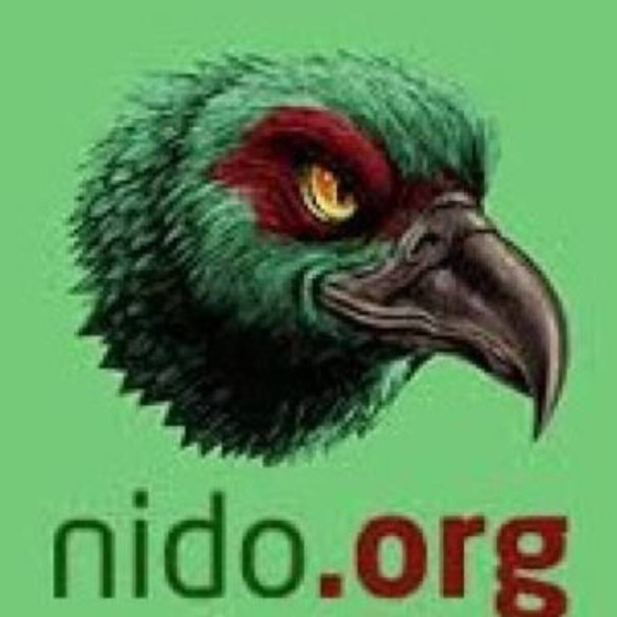 Nido.org: La página donde anónimos amenazan y extorsionan mujeres con fotos íntimas